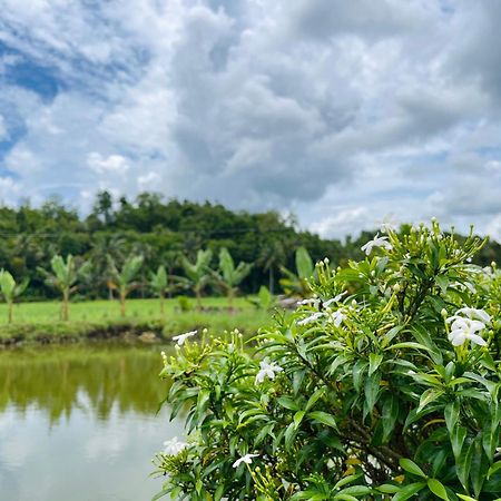 Jazz Ferme Inn Batuan Bohol מראה חיצוני תמונה