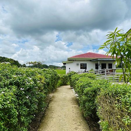 Jazz Ferme Inn Batuan Bohol מראה חיצוני תמונה