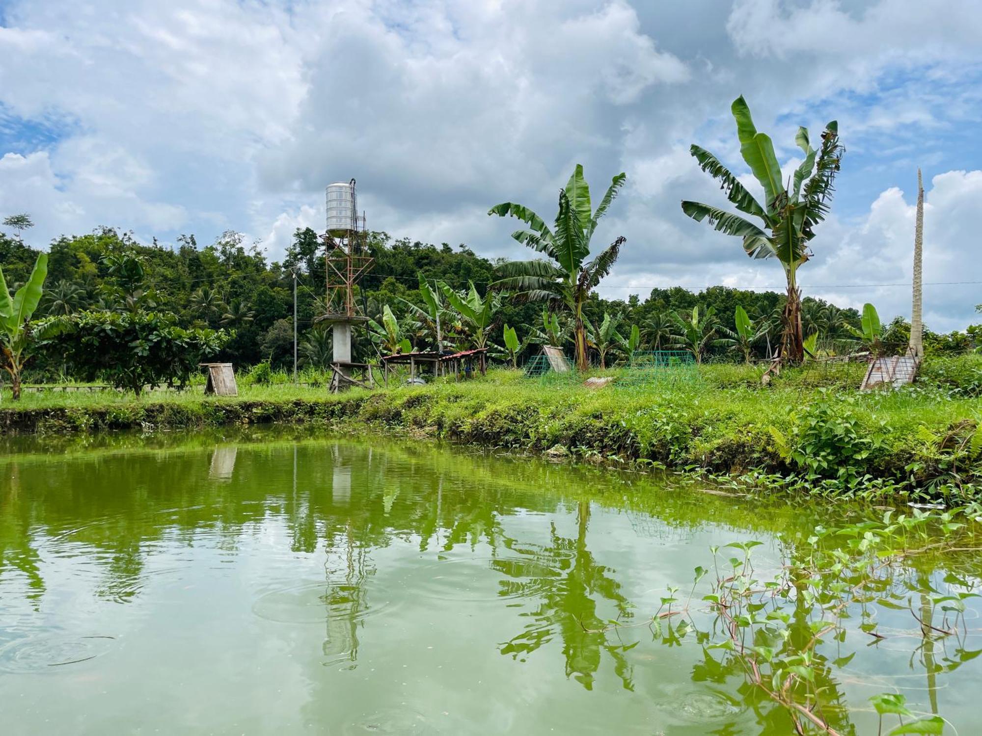 Jazz Ferme Inn Batuan Bohol מראה חיצוני תמונה