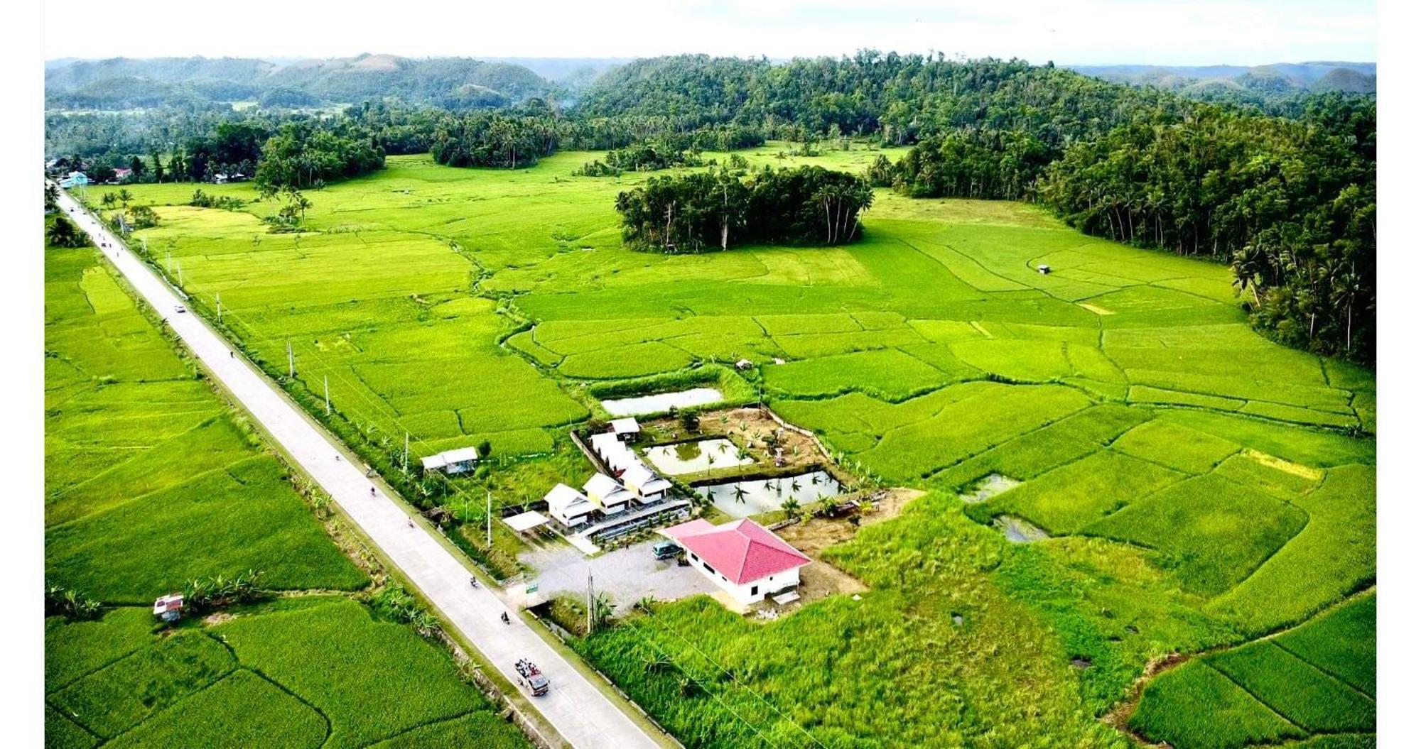 Jazz Ferme Inn Batuan Bohol מראה חיצוני תמונה