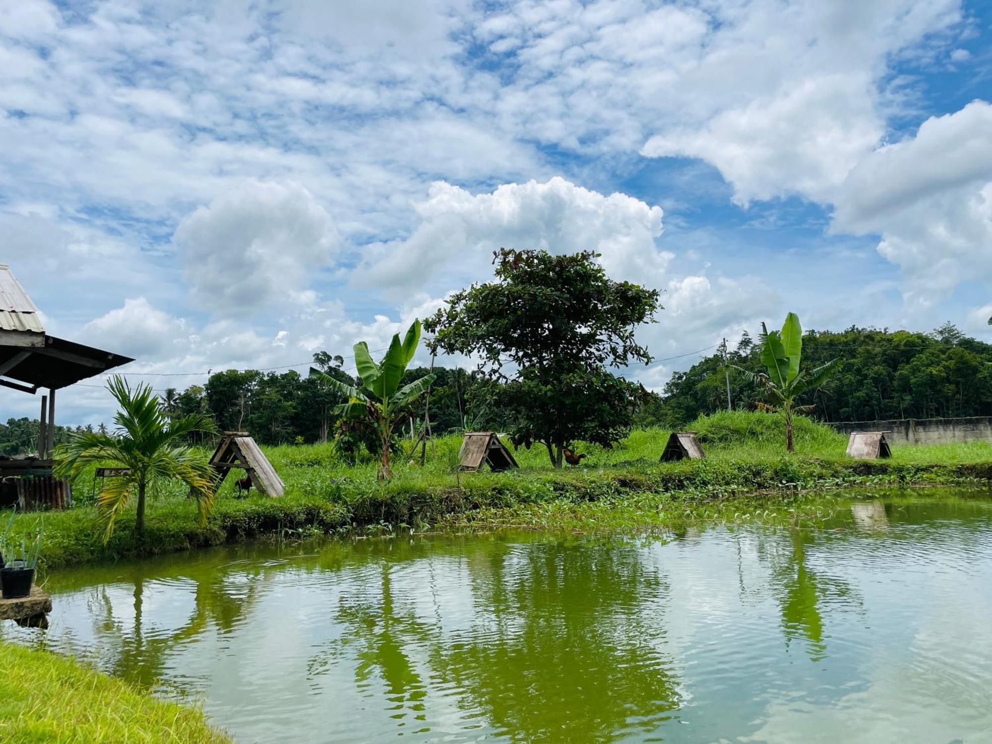 Jazz Ferme Inn Batuan Bohol מראה חיצוני תמונה